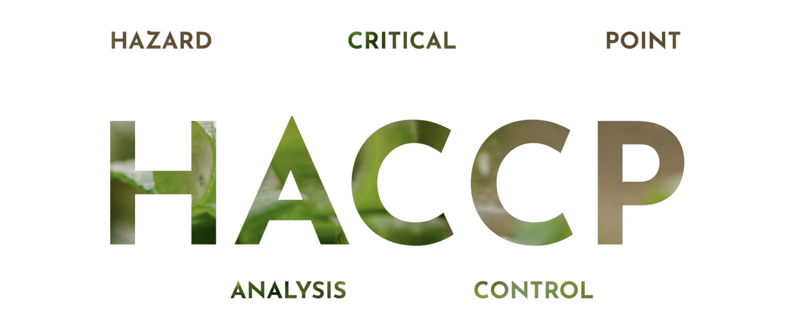 Formation HACCP : Analyse des risques et maitrise des points critiques dans les huileries et moulins